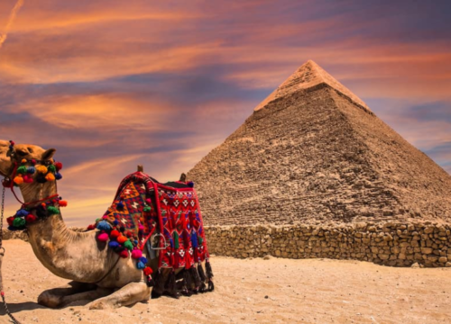 Half Day visit Pyramids Plateau