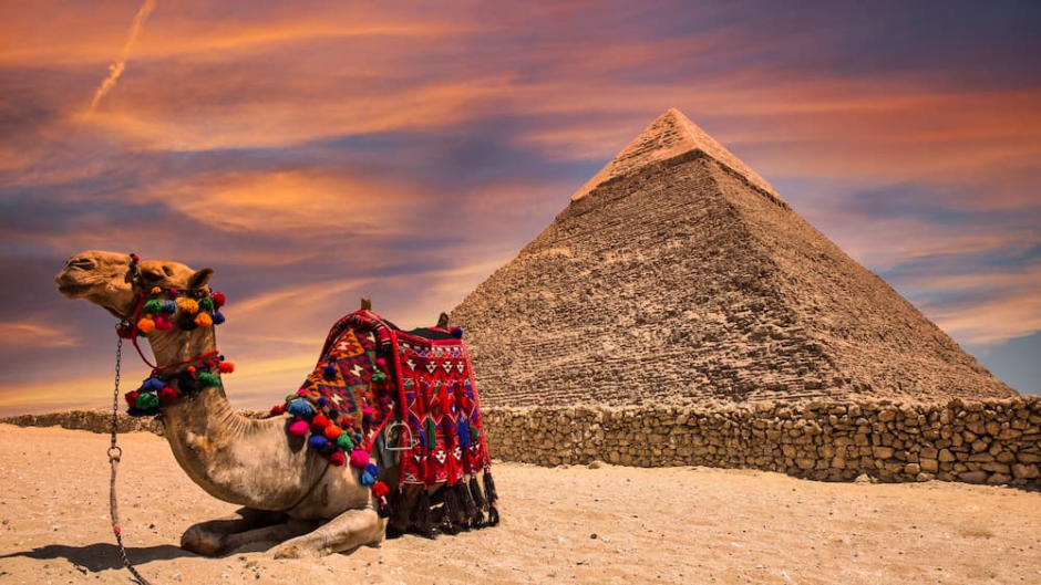 Half Day visit Pyramids Plateau