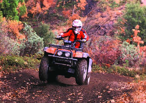 Quad Runner DBL