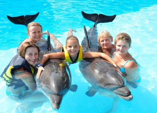 SWIMMING WITH DOLPHIN 30 min