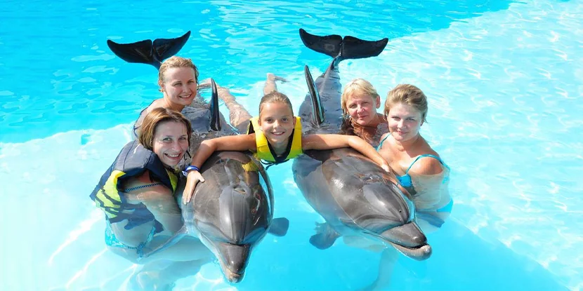 SWIMMING WITH DOLPHIN 30 min