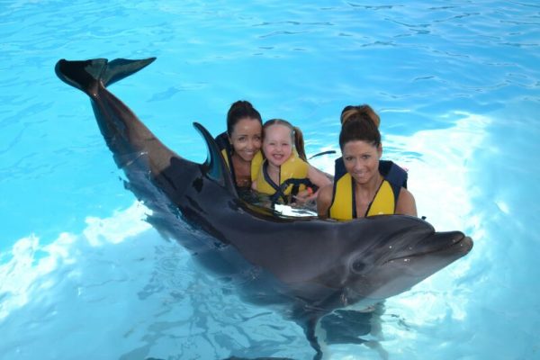 SWIMMING WITH DOLPHIN 30 min