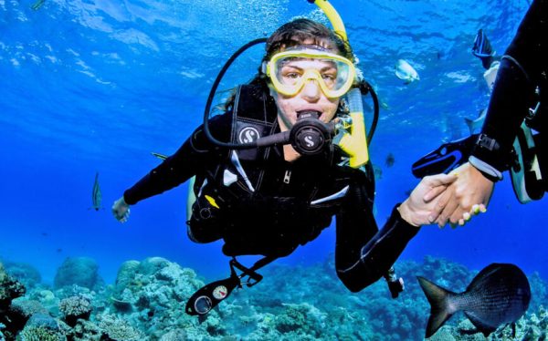 INTRO DIVE