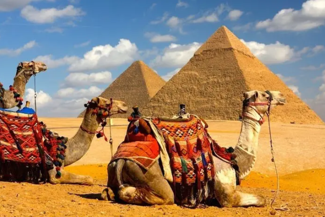 Half Day visit Pyramids Plateau