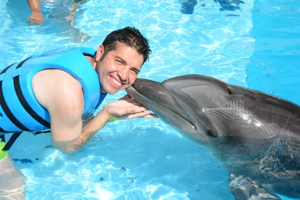 SWIMMING WITH DOLPHIN 15 min